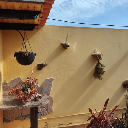 Bruma Isabella Vila *