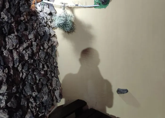 Bruma Isabella Βίλα *