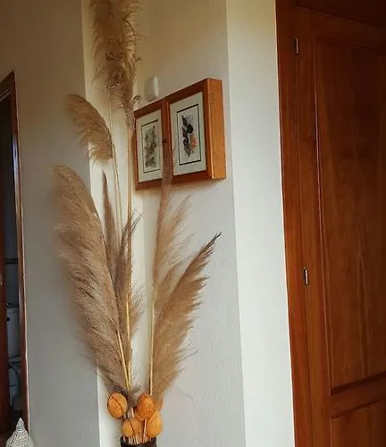 Bruma Isabella Βίλα Κοραλέχο