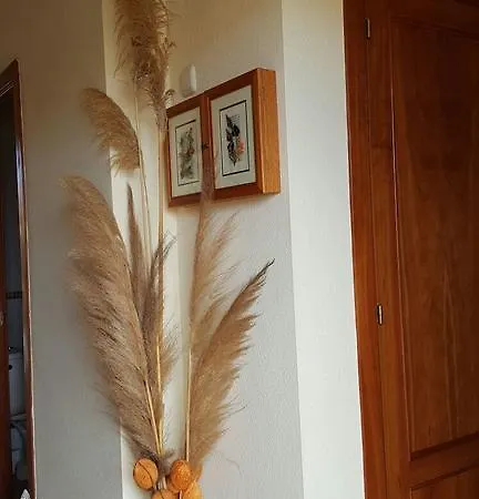 Bruma Isabella Villa Corralejo